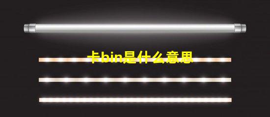 卡bin是什么意思 bin文件是什么意思